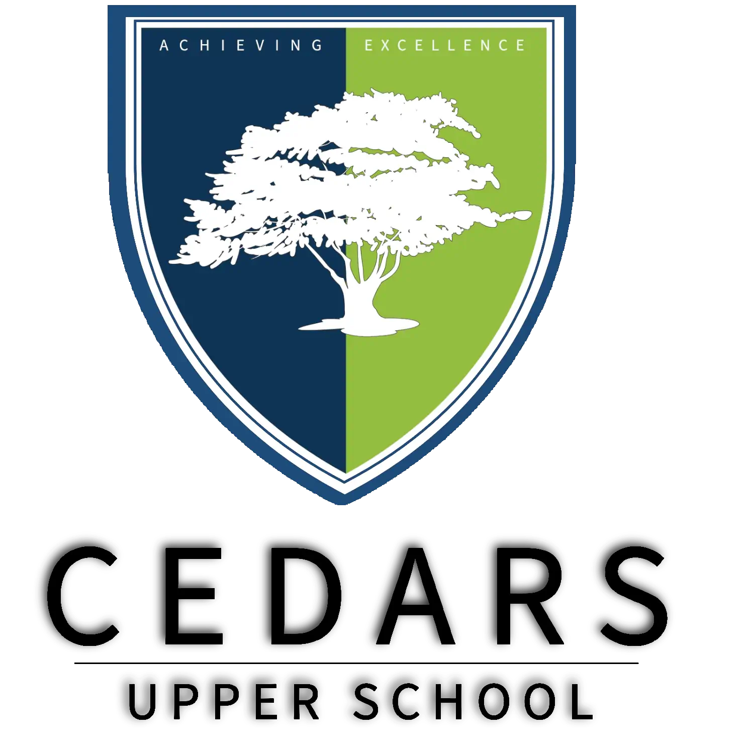 Cedars Upper School case study