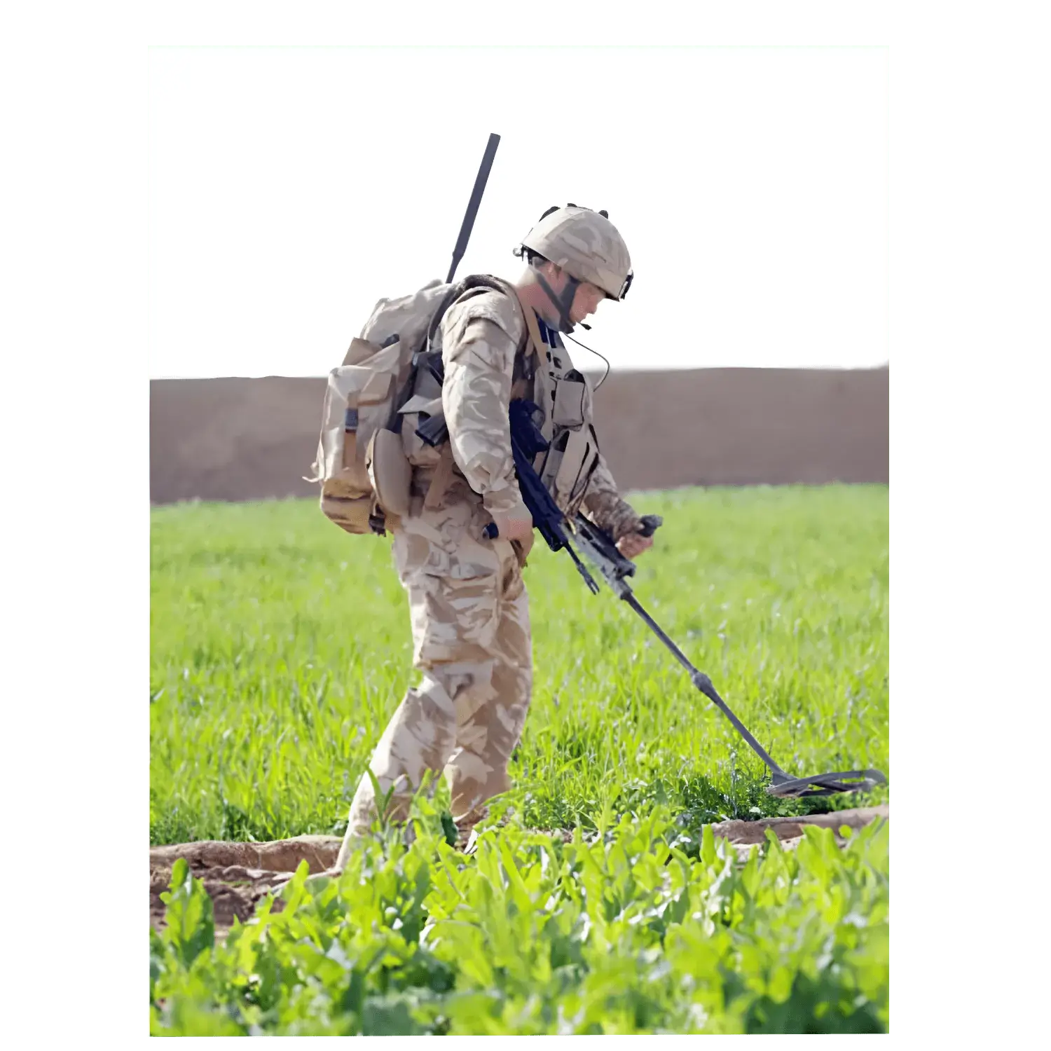 HQ Land Command case study